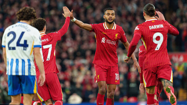 质和策略运 质和策略运